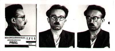 lupič pokladen Nezmar po operaci